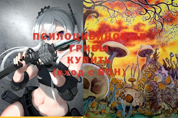 кокс Абинск