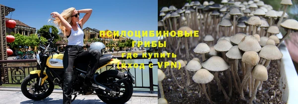 Альфа ПВП Абаза